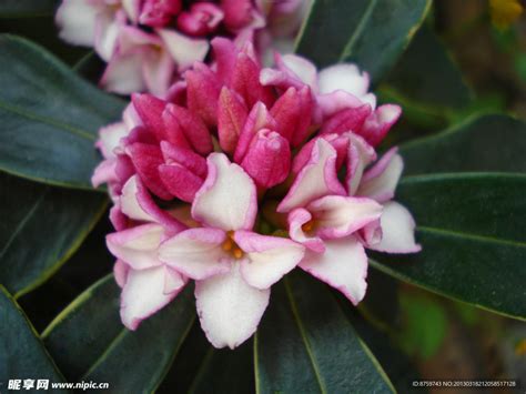 钗钏金命的人遇见如何化解_钗钏金命化解,第3张 钗钏金命的人遇见如何化解_钗钏金命化解,第3张